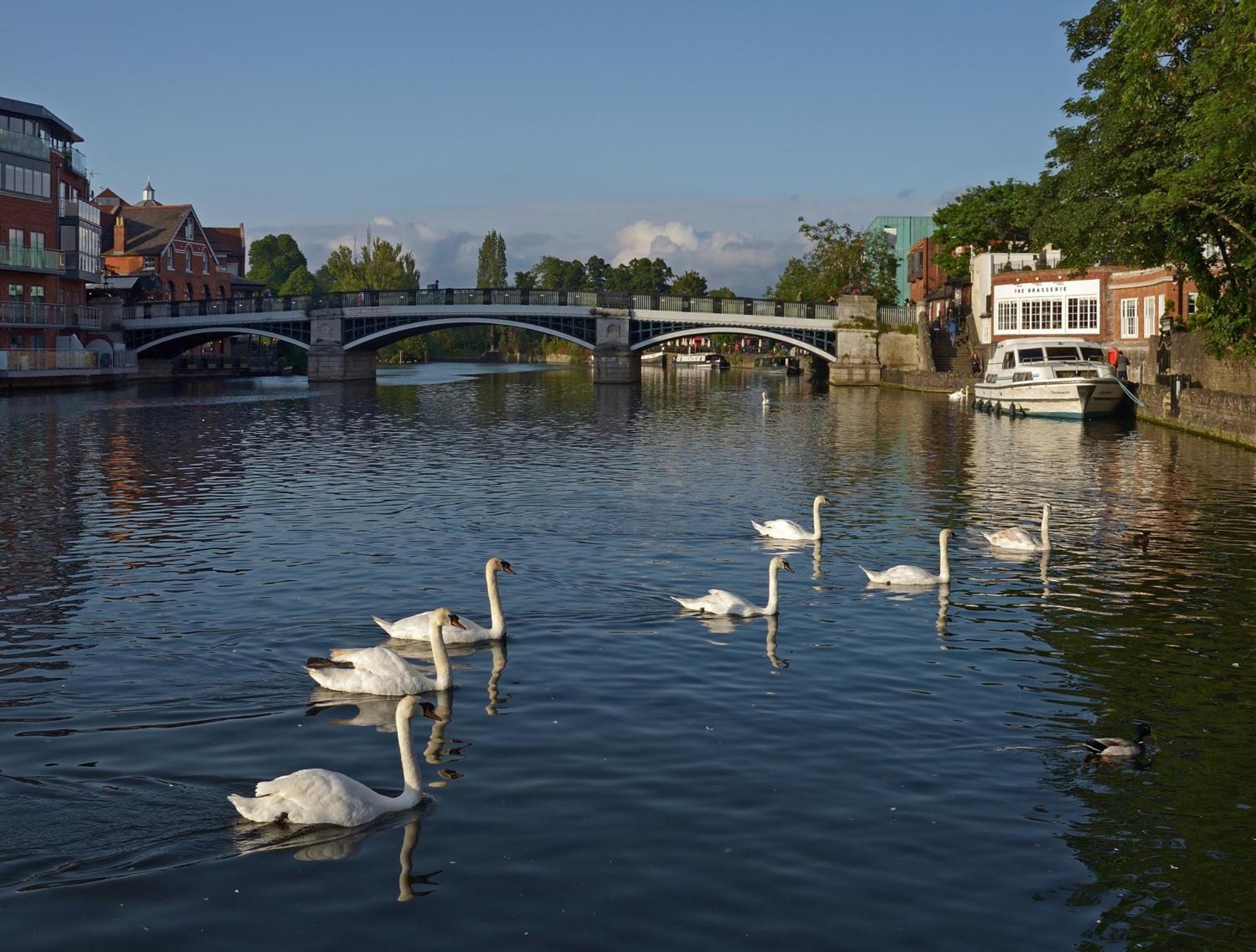 Top Floor En-Suite Double Bedrooms With Great View Of Windsor Castle & Free Parking Bagian luar foto